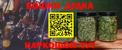 стафф Краснознаменск