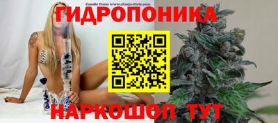 молекула духа Краснодар