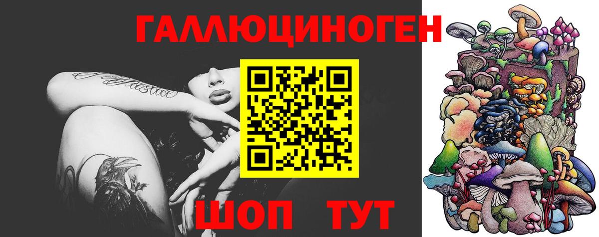 где купить наркоту  Вход с VPN  Зеленодольск  Галлюциногенные грибы Cubensis 